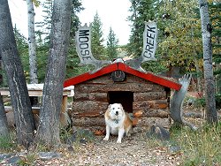 The log cabin doghouse at Moose Creek Lodge