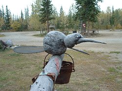 A giant mosquito at Moose Creek Lodge